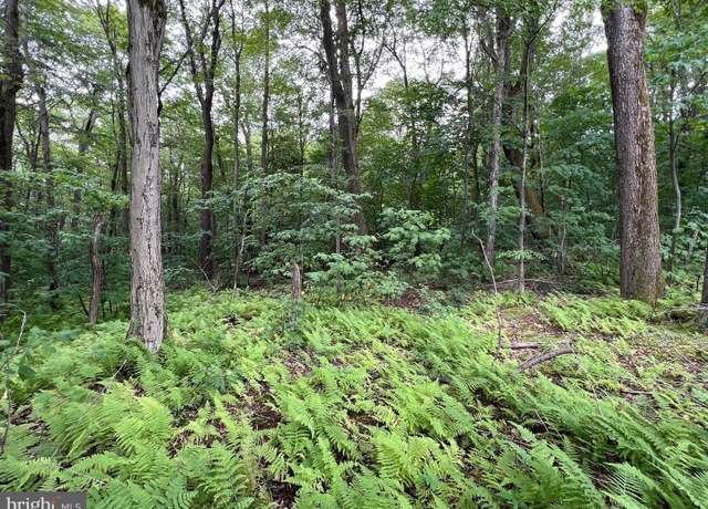Property at Lot 138 Bellows Way Rd, Claysburg, PA 16625