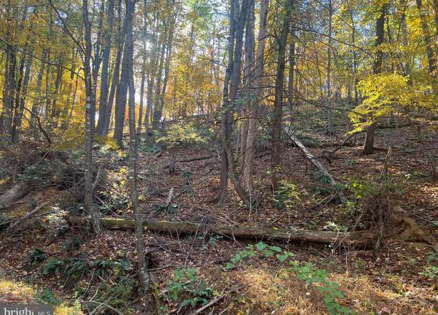 Property at 0 Pin Oak St, Basye, VA 22810