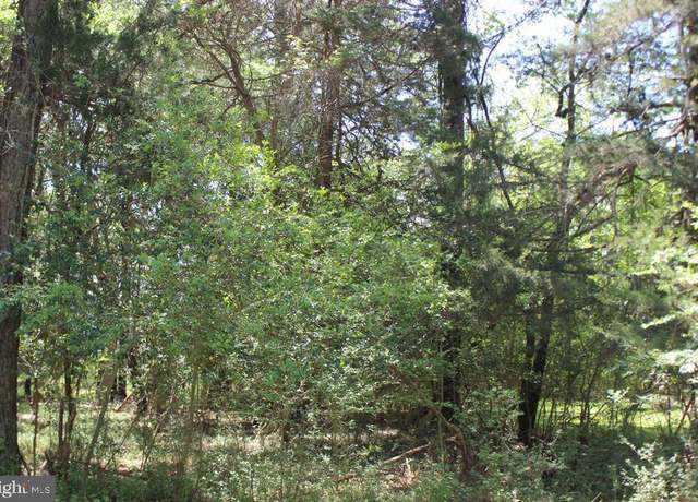 Property at 1093 Amidship Dr, Greenbackville, VA 23356