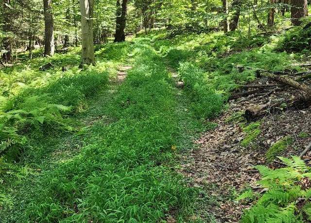 Property at 0 Swatara Vly, Pine Grove, PA 17963