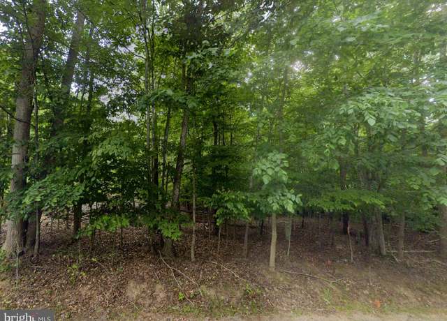 Property at 00 Red Fox Ln, Moneta, VA 24121