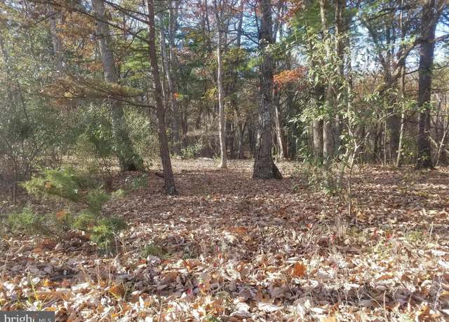 Property at Turkey Hollow Rd, Romney, WV 26757