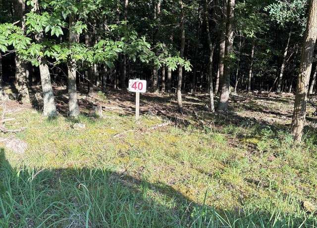 Property at Lot 40 Berenger Dr, Petersburg, WV 26847