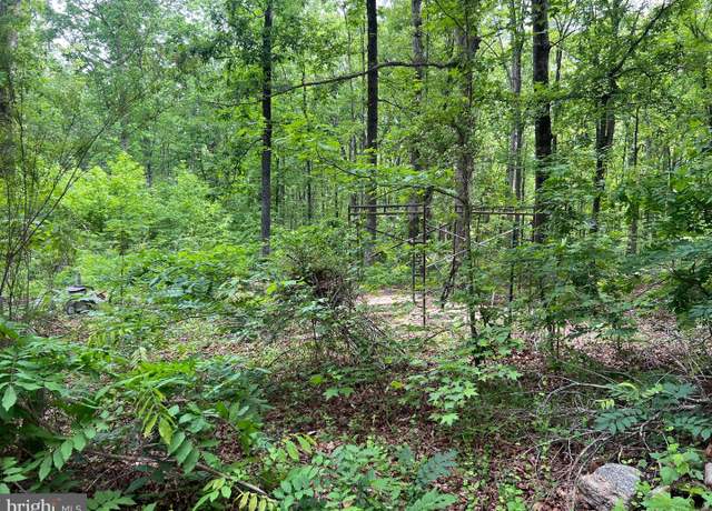 Property at 13012 Orange Plank Rd, Locust Grove, VA 22508