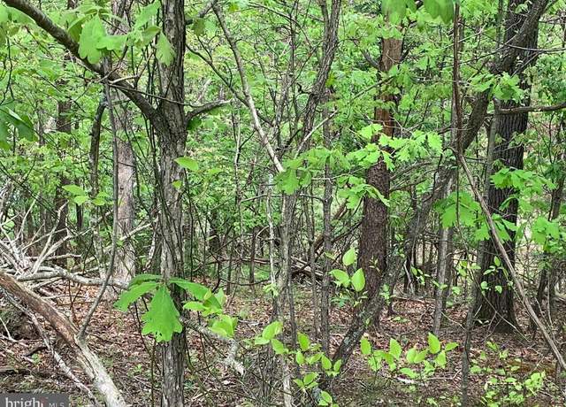 Property at LOT #184 Sleigh, Cross Junction, VA 22625