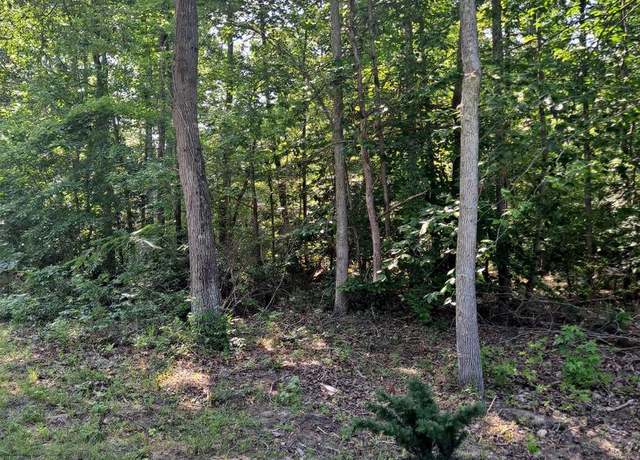 Property at Poseytown, Nanjemoy, MD 20662