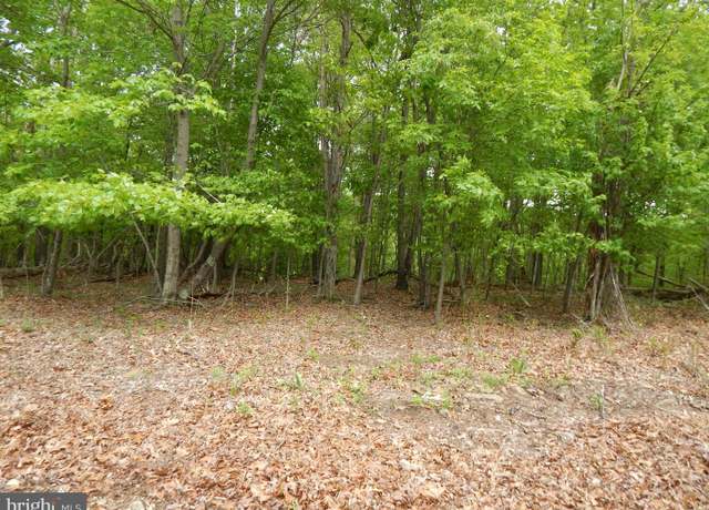 Property at Plum Tree Ln, Berkeley Springs, WV 25411