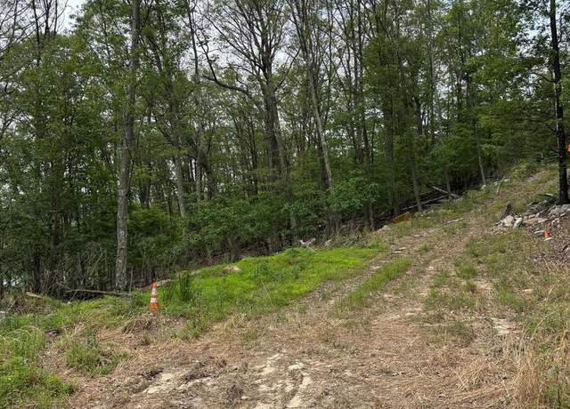 Property at Lot 17 Robert's Ln, Great Cacapon, WV 25422