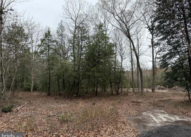 Property at LOT 3 Trap Pond Rd, Laurel, DE 19956
