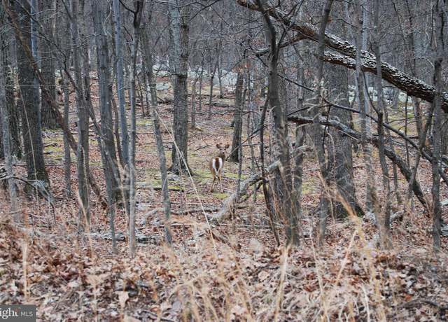 Property at Lot #1 Terrain Dr, Hedgesville, WV 25427