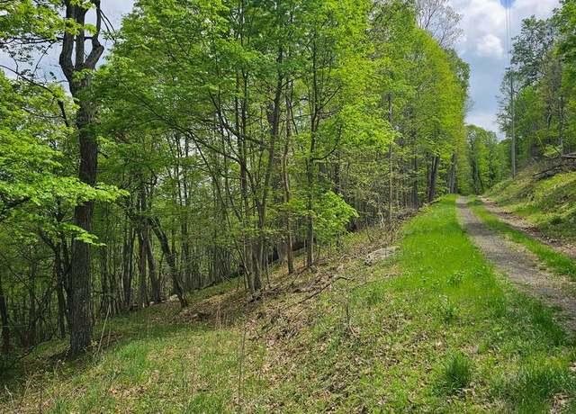 Property at High View Rd, Old Fields, WV 26845