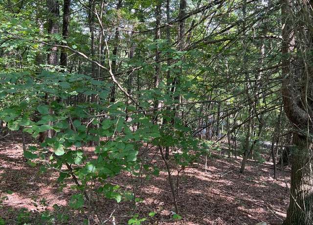Property at 0 Crabapple, Mount Jackson, VA 22842