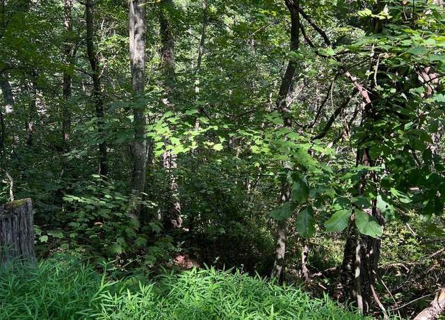Property at 0 Crabapple, Mount Jackson, VA 22842