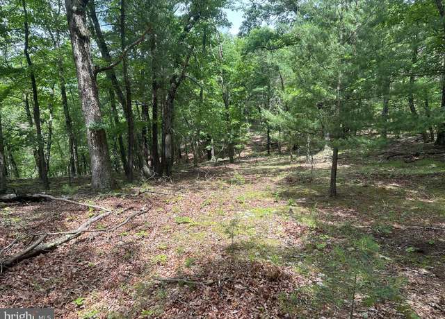 Property at 2.23 AC Doe Trl, Springfield, WV 26763