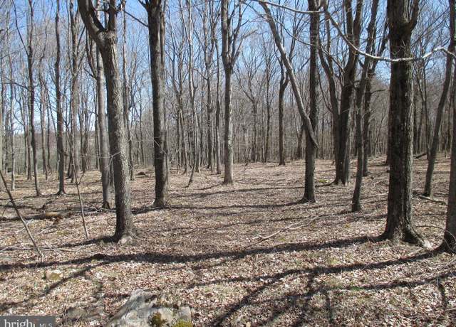 Property at Mt Lakeside Sub Divide Mdws, Mount Storm, WV 26739