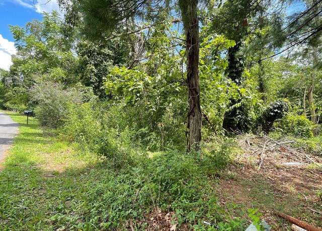 Property at White Oak Dr, Rawlings, MD 21557
