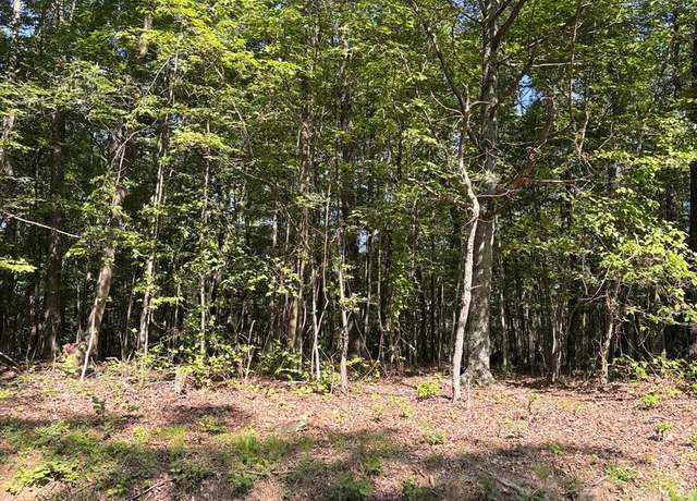 Property at Lot 1 Detour Rd, Great Cacapon, WV 25422