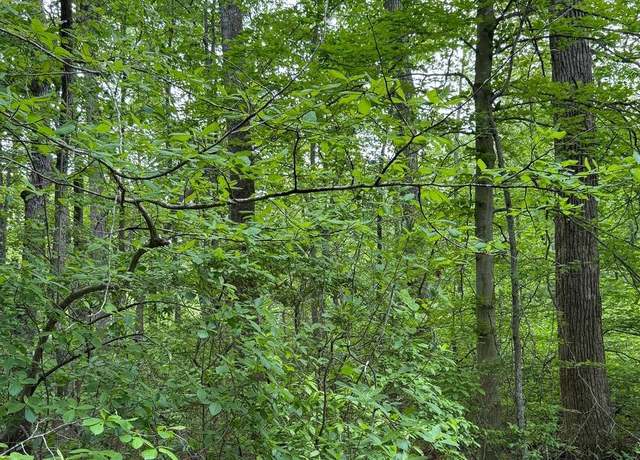 Property at Grange Hall Rd, Centreville, MD 21617
