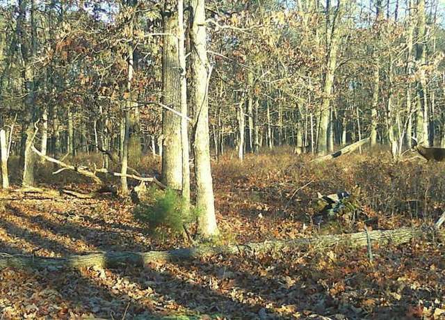 Property at 0 Morton Ave, Millville, NJ 08332