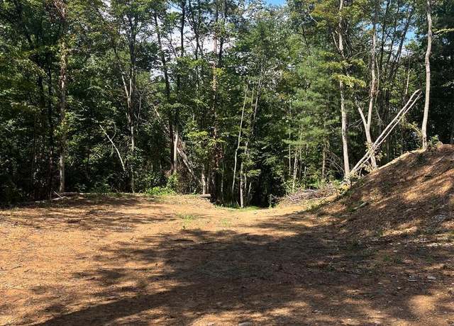 Property at TBD Dry Creek Rd, Luray, VA 22835