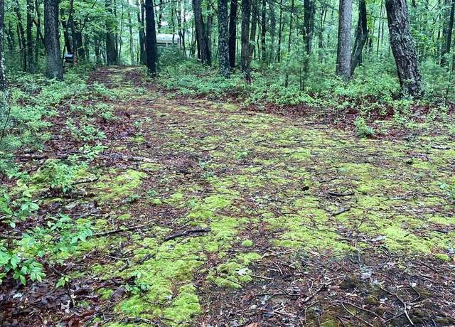 Property at LOT 4 Highland Dr, High View, WV 26808