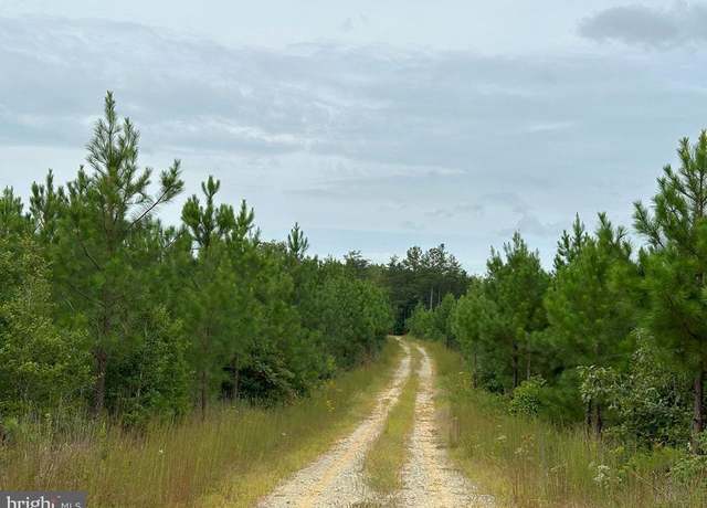 Property at Bethlehem Road (rt. 636) (tract: Bethlehem-1), Bowling Green, VA 22427