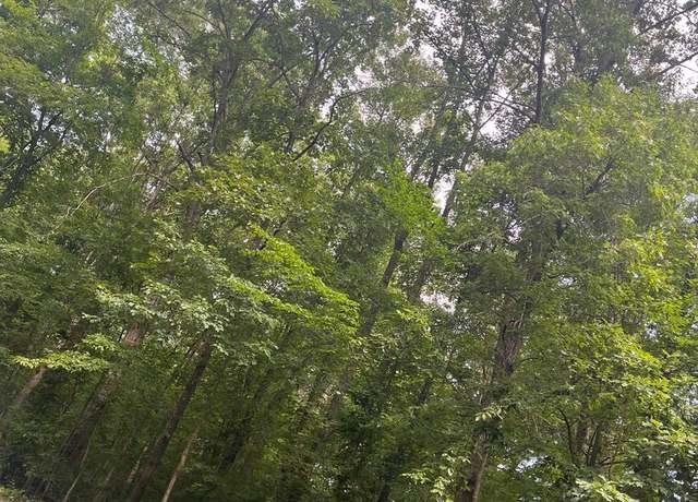 Property at 0 Meander Run Rd, Locust Dale, VA 22948