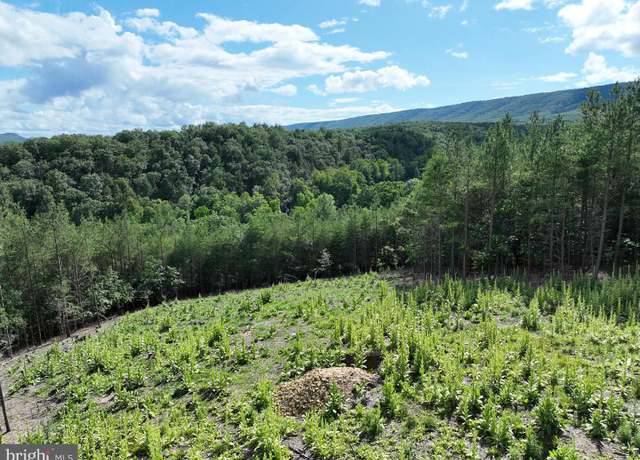 Property at 20.17 AC North Texas Rd, Delray, WV 26714