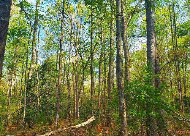 Property at Lot 1045 Poplar Dr, Louisa, VA 23093