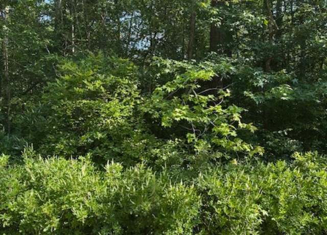 Property at Lot 22 Lake Dr, Colonial Beach, VA 22443