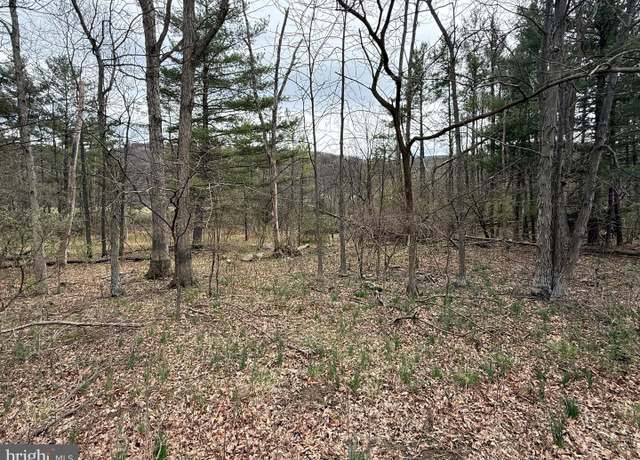 Property at Timberlake Estates - Lot 4, New Creek, WV 26743