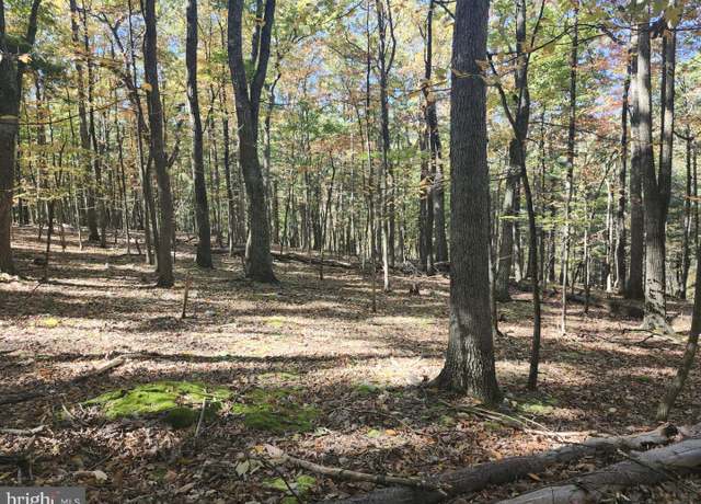 Property at Mill Mountain Rd, Romney, WV 26757