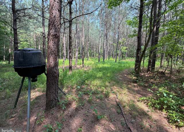 Property at 0 Morris Rd, Pittsville, MD 21850