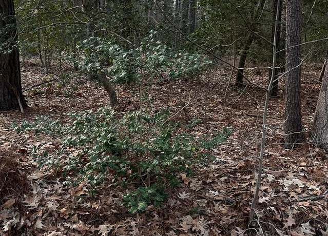 Property at Lot 33 Richardson St, Hague, VA 22469