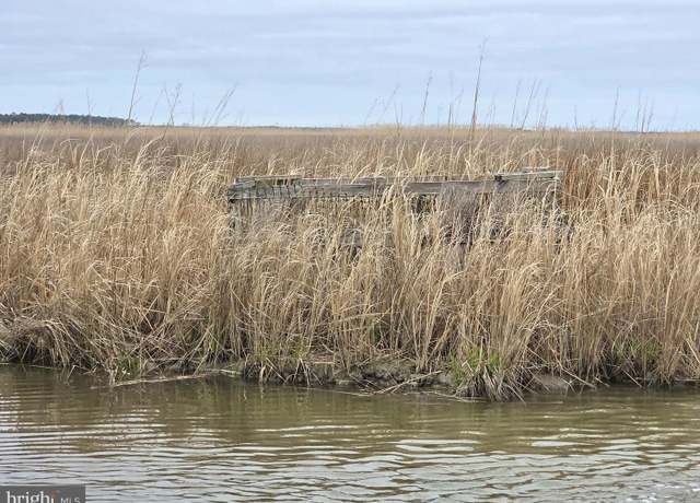 Property at Waterfowl & Sika / Ducks-S/S Wesley Rd Unit DEEP BRANCH, Crapo, MD 21626