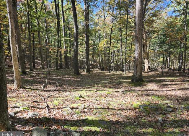 Property at Mill Mountain Rd, Romney, WV 26757