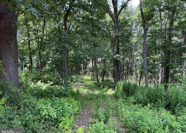 Property at 81 Cabin Rd, Augusta, WV 26704