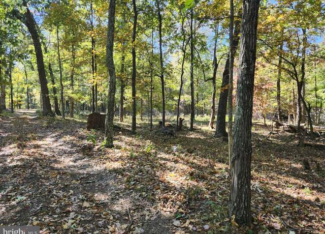 Property at Mill Mountain Rd, Romney, WV 26757