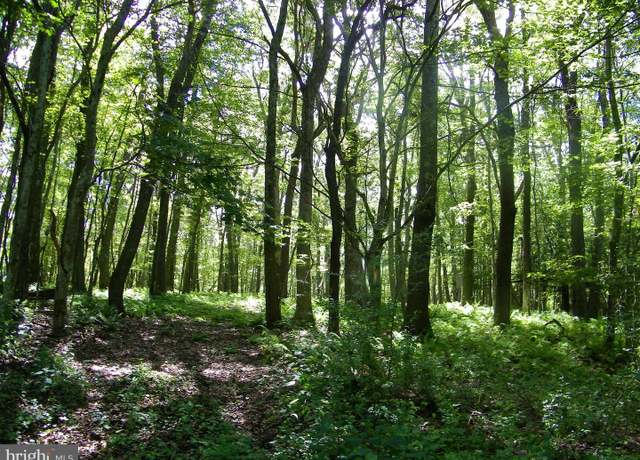Property at Longview Ln, Oakland, MD 21550