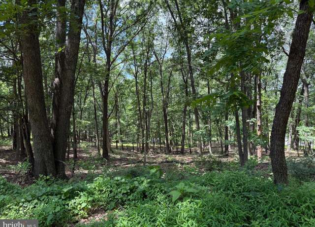 Property at 81 & 82 Cabin Rd, Augusta, WV 26704