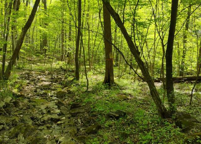 Property at 0 Sir Johns Run Rd, Berkeley Springs, WV 25411
