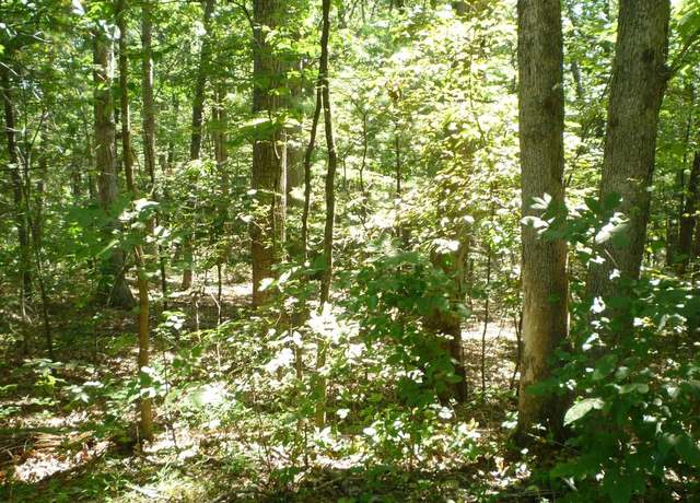 Property at Lot 95 Willow Ln, Mount Jackson, VA 22842