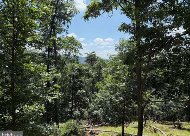 Property at 243 Bluffs On The Potomac, Romney, WV 26757