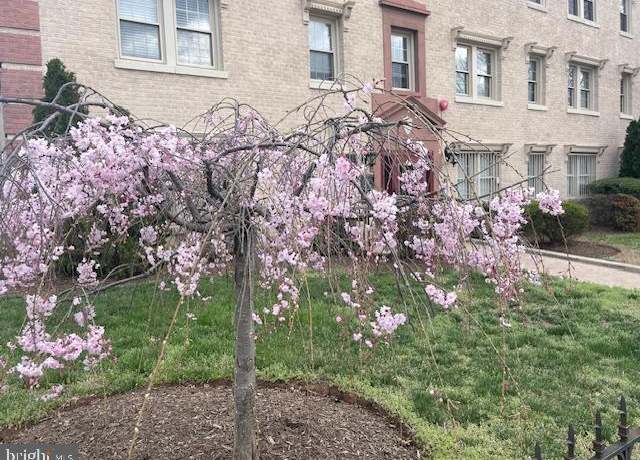 Property at 2625 3rd St NE #105, Washington, DC 20002, 1 bed, 1 bath