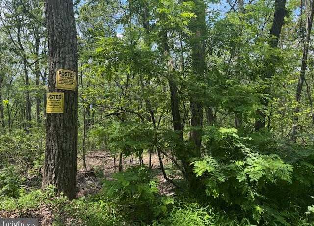 Property at Eastwood Dr, Bloomery, WV 26817