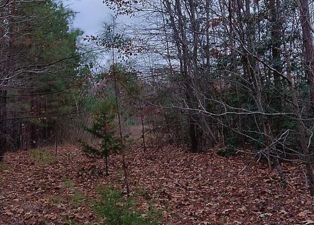 Property at Us Route 1, Ruther Glen, VA 22546