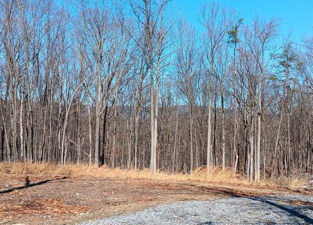 Property at Lot 84 Driftwood Egret, Gerrardstown, WV 25420