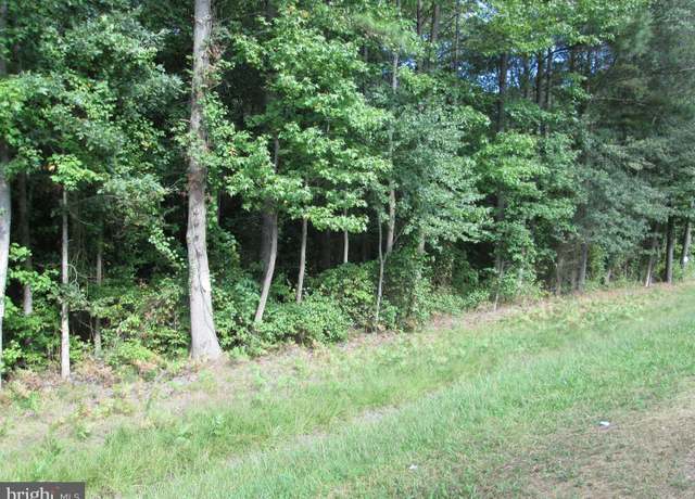 Property at Rte 313 Rd, Federalsburg, MD 21632