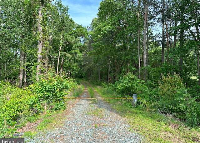 Property at Haden Martin Road (tract: Martin Pitts), Palmyra, VA 22963