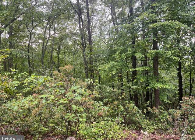 Property at Lots 16, 17, 18 Halterman Dr, Capon Bridge, WV 26711